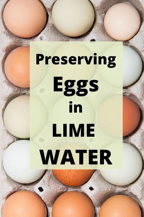 Egg Glassing, Glassing Eggs, Lime Eggs, Preserving Eggs, Storing Eggs, Food Canning, Pressure Canning Recipes, Lime Water, Canning Food Preservation