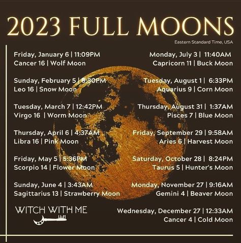 Blue Moon Rituals, Happy Yule, Moon Information, Magic Journal, Corn Moon, Full Moon In Pisces, Moon Chart, Zodiac Cards, Moon Journal