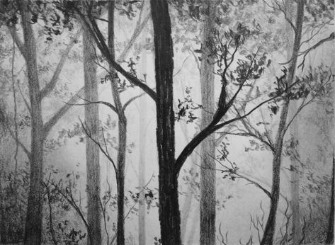 How to Draw a Misty Forest — Online Art Lessons Drawing Ideas Forest, Forest Background Drawing, Background Drawing Reference, Pencil Drawings Of Nature, Pencil Drawings Of Love, Forest Sketch, Improve Drawings, Forest Drawing, Drawing Classes