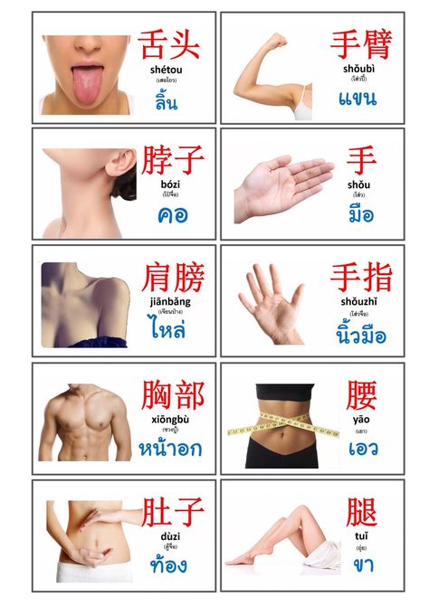 Korean Flashcards, Chinese Hanzi, Chinese Flashcards, Learn Thai Language, Bahasa China, Mandarin Lessons, Chinese Language Words, China Language, Chinese Picture