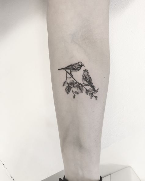 En #linerle og en #sanglærke fra igår #annelietatuerar #singleneedle @fabeltattoo #istedgade101 #vesterbro #københavn #copenhagentattoo… Wagtail Tattoo, White Wagtail, Tiny Bird Tattoos, Related Tattoos, Bird Tattoos, Bird Tattoo, Tiny Bird, Skylark, Time Tattoos