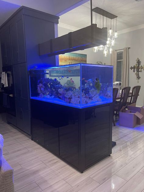 Christie has created one of the coolest light canopies we have seen over a CADE! Check out this 1500 Peninsula 😍 : : #cadeusa #cadeaquariums #aquarium #fishtank #coraltank #saltwatertank #coralreeftank #saltwateraquarium #reeftank #aquariums Coral Tank, Saltwater Tank, Reef Tank, Saltwater Aquarium, Canopy Lights, Canopies, Aquariums, Fish Tank