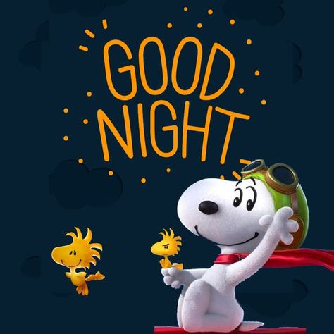 Snoopy | Facebook Good Night Snoopy, Snoopy Nails, Happy Snoopy, Goodnight Snoopy, Good Night Sleep Tight, Peanuts Characters, Snoopy Pictures, Good Night Gif, Good Night Greetings