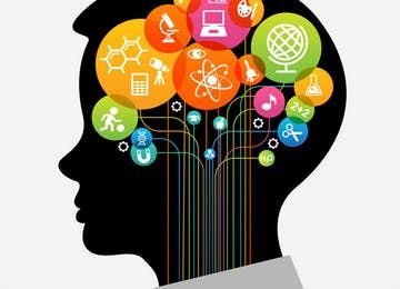 Live & Online CE Courses - Summit Professional Education Evidence Based Approach to Pediatric Brain Education Icon, Educational Infographic, Brain Science, Brain Breaks, Brain Development, E Learning, Infographic Templates, Neuroscience, Critical Thinking