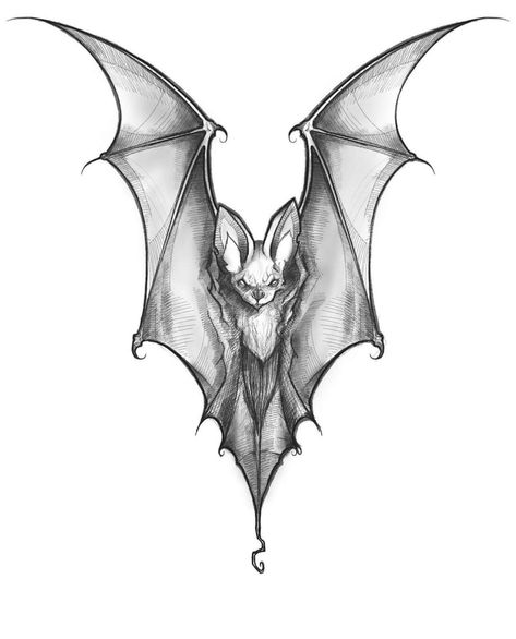 Bat Tattoo Hanging, Bat Drawing Aesthetic, Small Goth Tattoo Ideas, Gothic Bat Tattoo, Bat Tattoo Gothic, Small Bat Tattoo, Bat Drawing, Bats Tattoo Design, Bat Tattoo