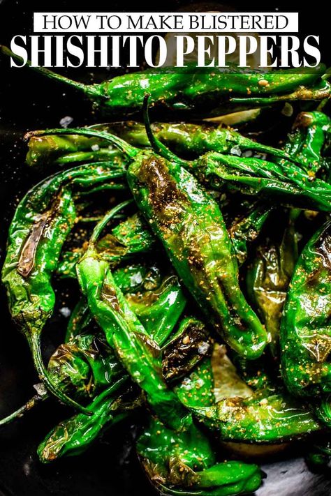 These Blistered Shishito Peppers are the perfect finger food. They're so easy to make too. Lightly seasoned & slightly smoky, you'll love their flavor. // blistered shishito peppers // shishito peppers recipe // appetizers // #shishitos #shishitopeppers #charredshishitopeppers #fingerfood #tapas #blisteredshishitos #blisteredshishitopeppers Roasted Shishito Peppers, Shishito Pepper Recipe, Chicken Under A Brick, Blistered Shishito Peppers, Shishito Peppers, Asian Foods, Veggie Side Dishes, Peppers Recipes, Veggie Sides