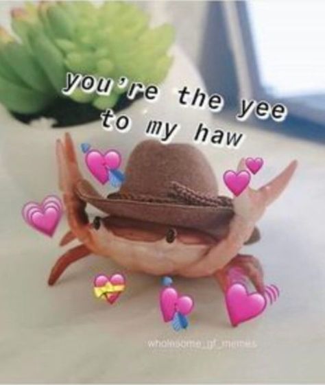 Take a walk on the brighter side of the Internet with some wholesome memes. These are guaranteed to make your day. #memes #wholesome #wholesomememes Yee To My Haw, Gf Memes, Wholesome Pictures, Snapchat Stickers, Cute Love Memes, Söt Katt, Cute Messages, Wholesome Memes, Cute Memes