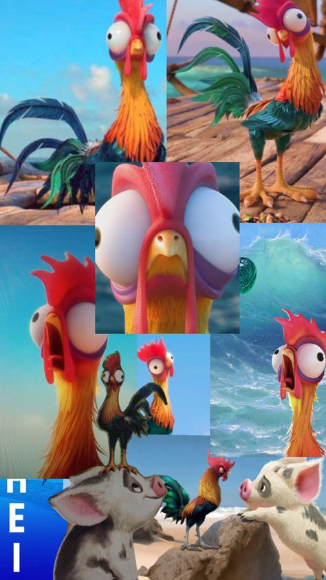 HEI HEI FROM MOANA🐓 Hei Hei Wallpaper, Hey Hey Moana Chicken, Hey Hey Moana, Moana Memes, Moana Chicken, Heihei Moana, Hei Hei Moana, Chicken Wallpaper, Moana 2