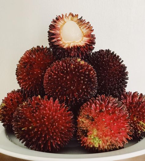 [I ate] Pulasan the cousin of lychee and the half brother of rambutan. An exotic fruit from Southeast Asia. Foodporn Recipes, Half Brother, Exotic Fruit, Food Images, Tropical Fruits, The Hub, Fruit Trees, Amazing Food, Southeast Asia