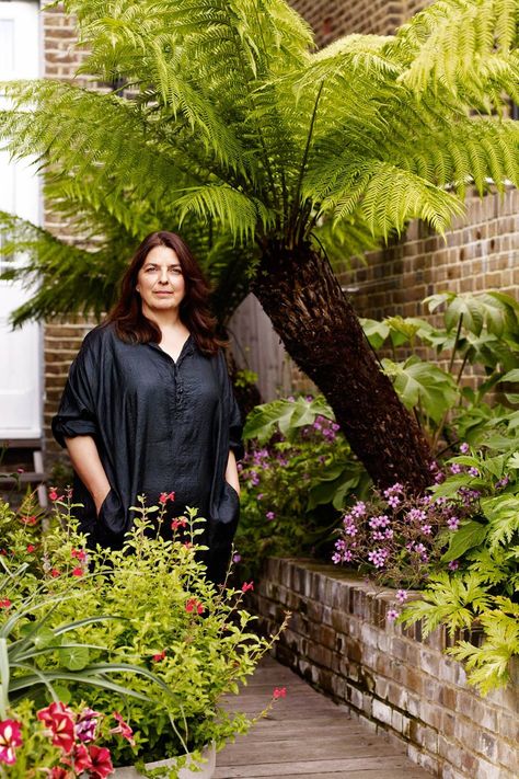 Fern Tree, Terraced Gardens, Arched Entry, Door Bed, Small Urban Garden, Small City Garden, Garden Tropical, Ferns Garden, Jungle Gardens