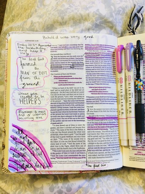 Genesis 31 Bible Journaling, Bible Journaling Genesis Cain And Abel, Genesis 3 Bible Journaling, Genesis Bible Study Notes, Genesis 1 Bible Journaling, Genesis Bible Journaling Notes, Genesis Journaling, Bible Study Genesis, Genesis Bible Journaling