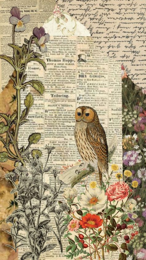 #aestheticvintage #vintage #owl Owl Background Wallpapers, Soft Scenery, Owl Aesthetic, Owl Background, Owl Printables, Owl Wallpaper, Holiday Wallpaper, Vintage Owl, Owl Art