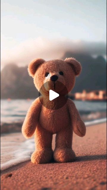 Dog Dancing, Dance Lover, Photo To Video, Good Evening, May 27, Cute Bears, Teddy Bears, Bears, The Internet