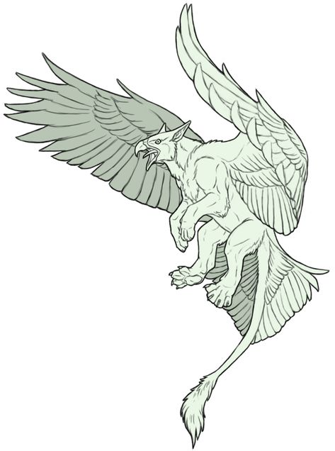 Mythical Beast Sketch, Gryphon Aesthetic, Gryphon Drawing, Griffon Drawing, Flying Griffin, Griffon Tattoo, Griffon Art, Gryphon Tattoo, White Griffin