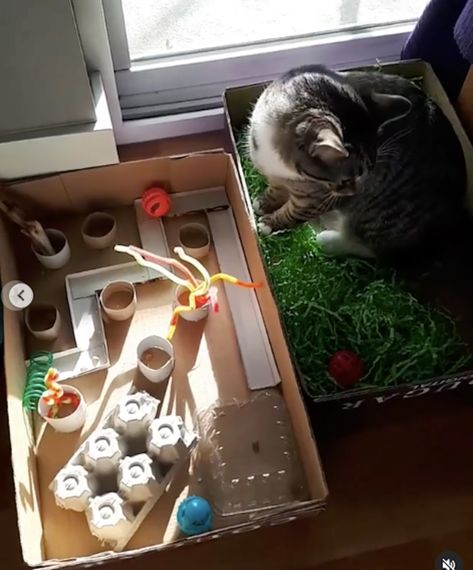 Diy Cat Puzzles, Diy Cat Toys Easy, Cat Puzzle Feeder, Diy Cat Tent, Cat Enrichment, Diy Cat Food, Ferrets Care, Cardboard Cat House, Handmade Cat Toys