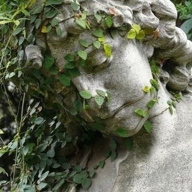 Sunday Gardening Green Academia, Forest Core, Stone Statue, Plant Aesthetic, Style Deco, Spring Aesthetic, Nature Plants, Academia Aesthetic, Nature Aesthetic