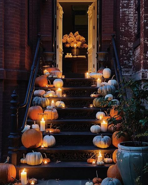 JOSH YÖUNG on Instagram: “Hello Autumn 🖤 . . . . . . . . . #autumn #joshyoungdesignhouse #washingtondc #dc #fall #artisthome #townhouse #townhome #entry #interior…” Porche Halloween, Halloween Entryway, Fall Front Door Decor, Inktober 2023, Classy Halloween, Decor 2023, 2023 Halloween, Halloween Porch Decorations, Halloween Front Porch