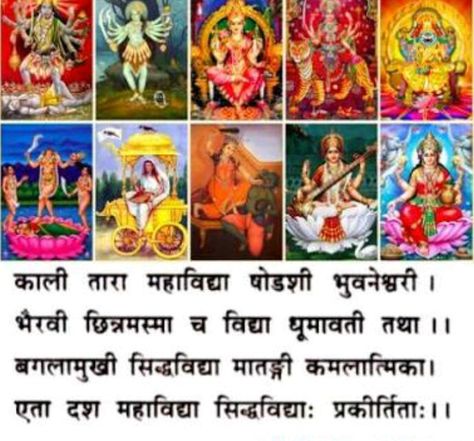 Prayer of Das Mahavidya. Das Mahavidya Images, Das Mahavidya Mantra, Gajendra Moksha, Dasa Mahavidya, Das Mahavidya, Adi Shakti, Maa Laxmi, God Pics, Tantra Art