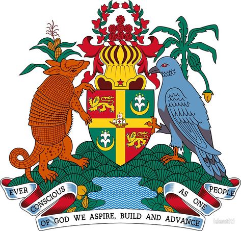 Grenada Island, Grenada Flag, National Animal, Coat Of Arm, Caribbean Sea, Small Island, West Indies, Caribbean Islands, National Flag