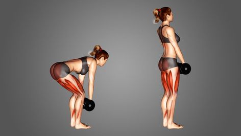 Dumbell Deadlift Women, Dumbbell Deadlift Women, Deadlift With Dumbbells, Dumbell Deadlift, Fitness Era, Deadlift Women, Dumbbell Deadlift, Deadlift Variations, Hip Hinge