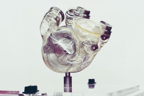 World’s first ARTIFICIAL heart transplanted into patient - Mirror Online Artificial Organs, A Real Heart, Gcse Biology, Artificial Heart, Homo Habilis, Science Revision, Real Heart, The Circulatory System, Extinct Species