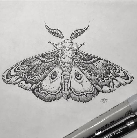 Tattoo Papillon, Moth Drawing, Moth Tattoo Design, Night Tattoo, Tier Tattoo, Kunst Tattoos, Insect Tattoo, Tattoo Zeichnungen, Moth Art