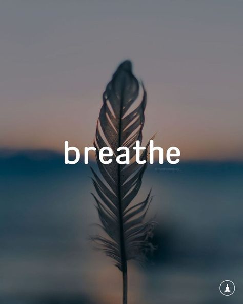 Just Breathe Quotes: Finding Wisdom in Each Breath - Just Breathing Deep Breath Quotes, Just Breathe Quotes, Yoga Breathing Techniques, Kanye West Quotes, Breathe Quotes, Pranayama Breathing, Meditation For Health, Yoga Breathing, Breathing Meditation