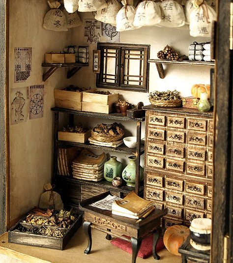 Traditional oriental Herbal Medicine Shop-Miniatures by Hea Kyung, via Behance Herbal Pantry, Chinese Apothecary, Magic Room, Herbal Apothecary, Casa Vintage, Miniature Rooms, Miniature Houses, Miniature Crafts, Room Box