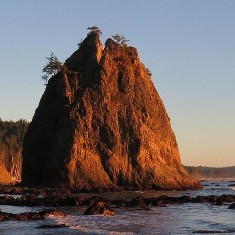 Hoh River Trail - All You Need to Know BEFORE You Go (2024) Rialto Beach, Olympic National Park Washington, Hiking National Parks, River Trail, Olympic National Park, Group Tours, Pacific Coast, Day Tours, Hiking Trails