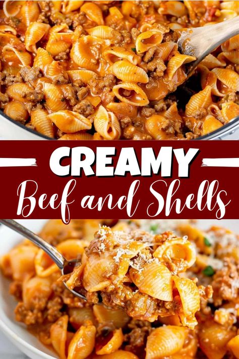 Creamy Beef And Shells, Beef And Shells, Shell Pasta, Beef Pasta Recipes, One Pot Dinners, Beef Pasta, Beef Casserole Recipes, Homemade Sausage, Ground Beef Recipes Easy