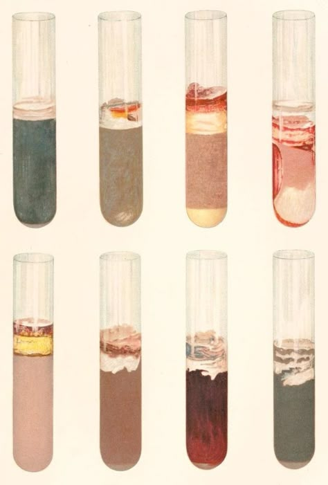 Bacteria Aesthetic, Bioengineering Aesthetic, Natural Science Aesthetic, Disease Aesthetic, Microbiology Aesthetic, Bacteria Illustration, Bacteria Art, Lab Aesthetic, Chemistry Posters