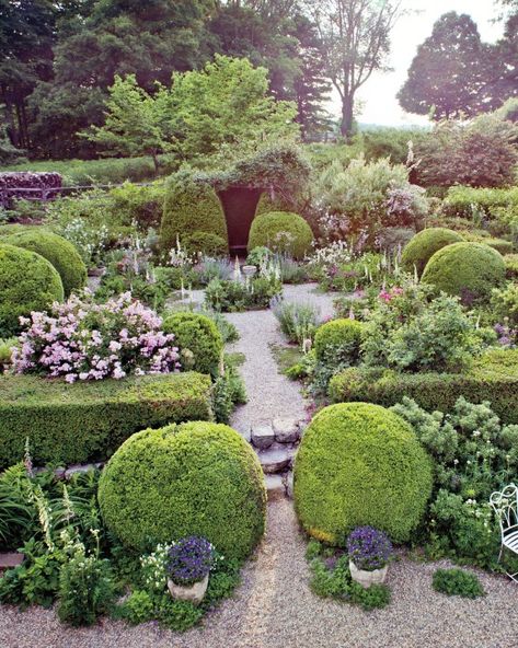 Parterre Garden, English Garden Design, Inside Garden, Gravel Garden, Garden Shrubs, French Garden, Gorgeous Gardens, Garden Layout, Types Of Plants