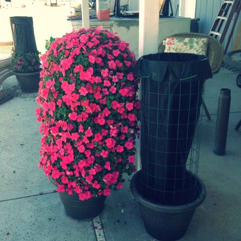 flower-tower-1 Flower Tower Ideas, Funny Vine, Flower Tower, Commercial Landscaping, Front Yard Landscaping Simple, Big Garden, Front Yard Landscaping Ideas, Yard Landscaping Ideas, Front House Landscaping