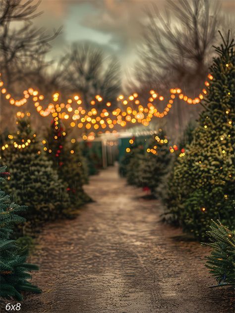 Festive Christmas Tree Pathway Photography Backdrop - Pathway lined with Christmas trees adorned with string lights Whoville Christmas Background, Twinkle Lights Tree, Christmas Forest Aesthetic, Christmas Tree Lot Ideas, Christmas Wedding Alter, Christmas Magic Aesthetic, Christmas Lights Outside Tree, Moody Christmas Photography, California Christmas Decor