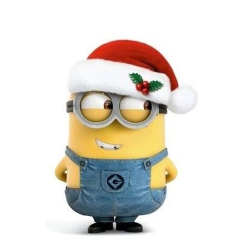 15+ Minion Christmas Pictures Buu Monster Inc, 3 Minions, Minion Christmas, Minion Pictures, Minions Love, Cute Minions, A Minion, Minions Wallpaper, Minions Despicable Me