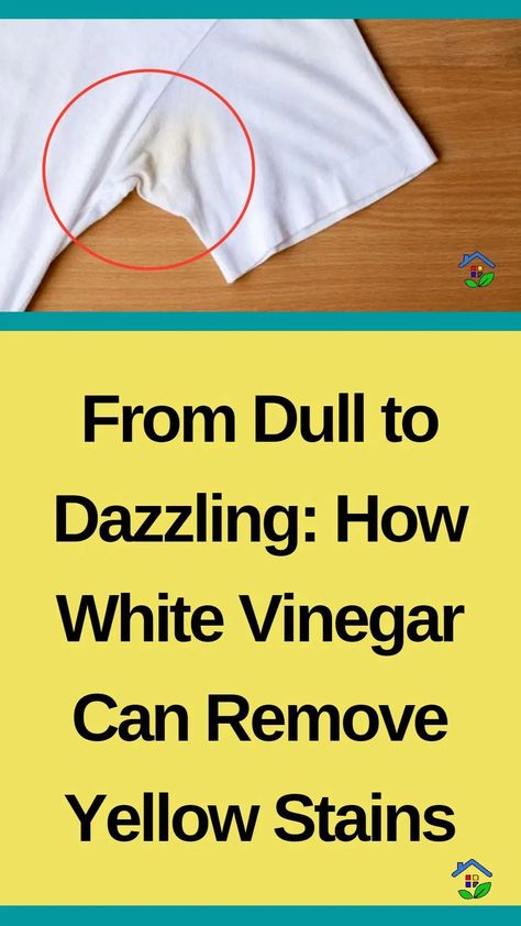 Do you know why the yellow shirt refused to hang out with the white clothes? Because it didn’t want to feel ‘pale’ in comparison! Fear not! Eliminate yellow stains from whites using only white vinegar. Time is enough to mark everything, whatever its value, even clothes. Over time, clothes start to become yellowish (especially light-colored […] Remove Pit Stains, Cleaning White Clothes, Remove Yellow Stains, Underarm Stains, Stain On Clothes, Pit Stains, Time Clothes, White Clothes, Sweat Stains