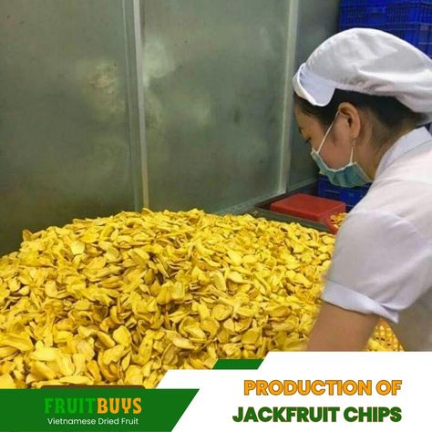 Jackfruit chips are a popular delicacy in many tropical countries, especially in Southeast Asia. They are made from ripe jackfruit slices that are dried and fried until crispy and golden. Jackfruit chips are a healthy snack that can satisfy your sweet tooth and provide you with many nutrients and antioxidants. In this article, FruitBuys will... Jackfruit Aesthetic, Dehydrated Fruit Packaging, Dehydrated Pineapple In Dehydrator, Jackfruit Fish And Chips, No Sugar Snacks, Tropical Snacks, Ripe Jackfruit, Raw Jackfruit, Hydrating Foods