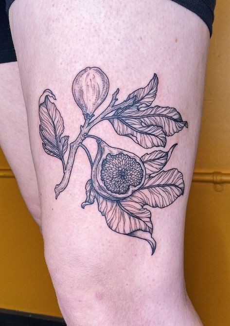 Botanical Drawing Tattoo, Fruit And Veggie Tattoo, Fig Tree Branch Tattoo, Sweet Potato Tattoo, Fig Drawing Simple, Fruit Sleeve Tattoo, Art Nouveau Flower Tattoo, Fruit Tattoo Black And White, Fig Tree Tattoo The Bell Jar