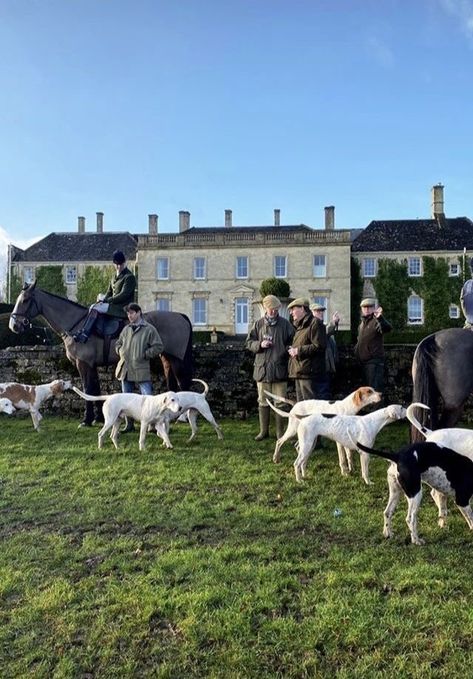 Old Money Dog, English Countryside Aesthetic, British Aesthetic, Dark Academy, Stars Align, British Country, Horse Aesthetic, Country Lifestyle, Horses And Dogs