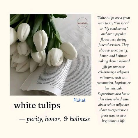 Tulips Meaning Language Of Flowers, Tulips Quotes, Tulips Meaning, Tulip Colors, Peonies And Hydrangeas, Popular Flowers, Meant To Be Quotes, Flower Meanings, Blue Tulips