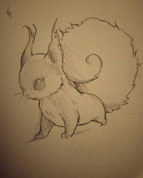 Cartoon Squirrel Drawing, Easy Squirrel Drawing, Sketch Squirrel, Squirrel Drawing Easy, Cute Squirrel Drawing, Squirrel Sketch, Squirrel Drawing, Squirrel Cute, Fox Sketch