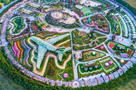 Dubai Miracle Garden Dubai Attractions, Million Flowers, Dubai Garden, Miracle Garden, Dubai Lifestyle, Global Village, Visit Dubai, Dubai Travel, Butterfly Garden