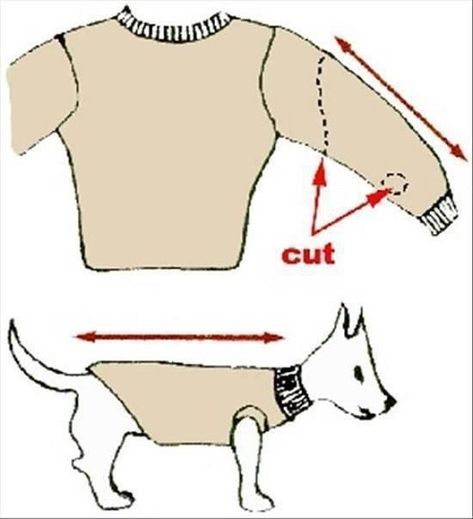 How To Turn Old Sweaters and Sweatpants Into No-Sew Dog Sweaters in 5- Sew Dog Clothes, Dog Clothes Patterns Sewing, Dog Coat Pattern, Dog Sewing Patterns, Dogs Clothes, Dachshund Clothes, Dog Sweater Pattern, Crochet Dog Sweater, Dog Clothes Diy