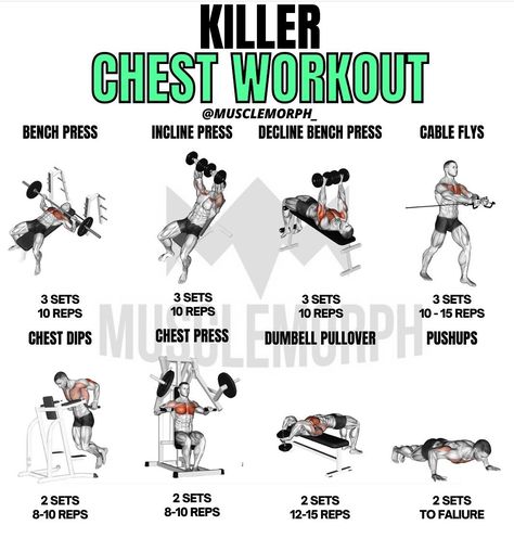 Killer Chest Workout, Gym Workout Schedule, Gym Chest Workout, Chest Day Workout, Workout Names, Chest Workout For Men, Chest Workout Routine, Chest Day, Gym Workout Guide