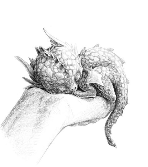 Cutest Dragon Ever [http://effenndee.wordpress.com/2011/04/18/baby-dragon/] Creature Fantasy, Dengeki Daisy, G-dragon, Dragon Sketch, Fantasy Drawings, Samurai Tattoo, Animal Drawing, Vampire Knight, Cute Dragons