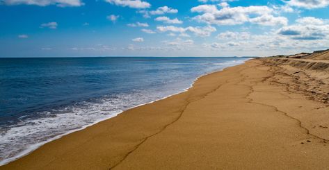 Beaches In Massachusetts, Massachusetts Coast, Coastal Massachusetts, Plum Island Massachusetts, Plum Island, Beer Float, Relaxing Day, State Of Mind, Beach Vibes