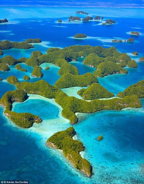 A marine sanctuary which houses thousands of fish species, translucent waters and breath-taking dive and snorkel locations, will remain preserved after a new law was passed in the Archipelago, Republic of Palau #palau #oceania #island #tropical #vacation #diving South Pacific Islands, Oceania Travel, Island Destinations, Pacific Islands, Palau, Island Travel, Incredible Places, South Pacific, Tropical Islands