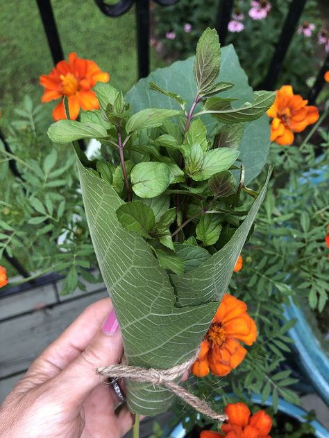 Mint bouquet #herbgarden Mint Bouquet, Herb Garden, Mint, Plants, Art