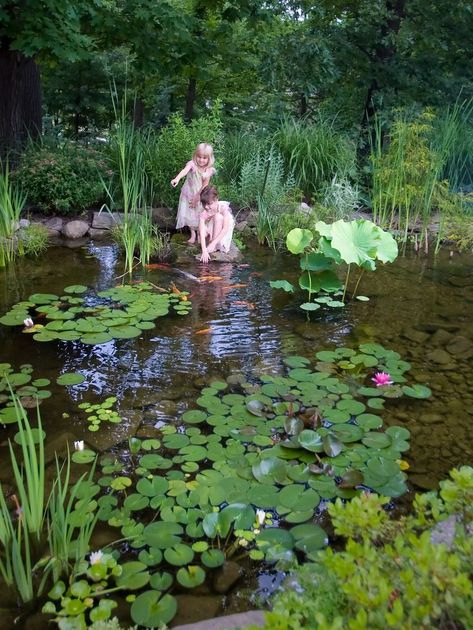 Landscape Backyard, Taman Air, Garden Pond Design, Natural Pond, Swimming Pond, Pond Landscaping, Natural Swimming Pools, Garden Idea, Magic Garden