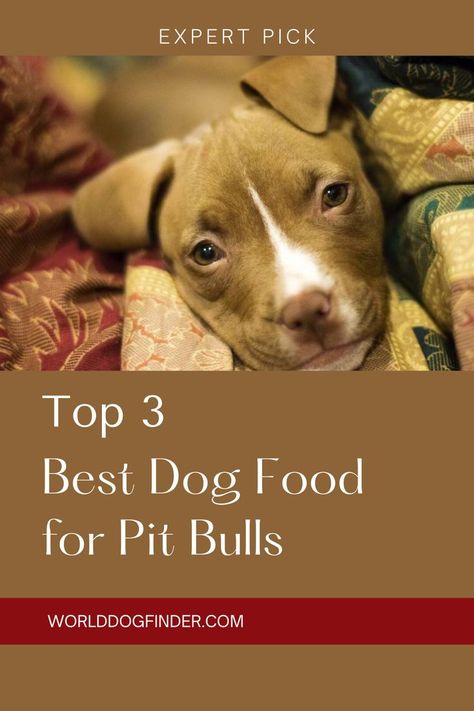 Pitbull Food, Make Dog Food, Food Dog, Human Food, Food And Nutrition, Best Dog Food, Ground Turkey Recipes, Food Nutrition, Pit Bulls